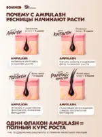 Сыворотка для роста ресниц и бровей AMPULASH, 8 мл — изображение 8